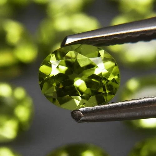 Oval geschliffener Peridot in einer Edelsteinpinzette